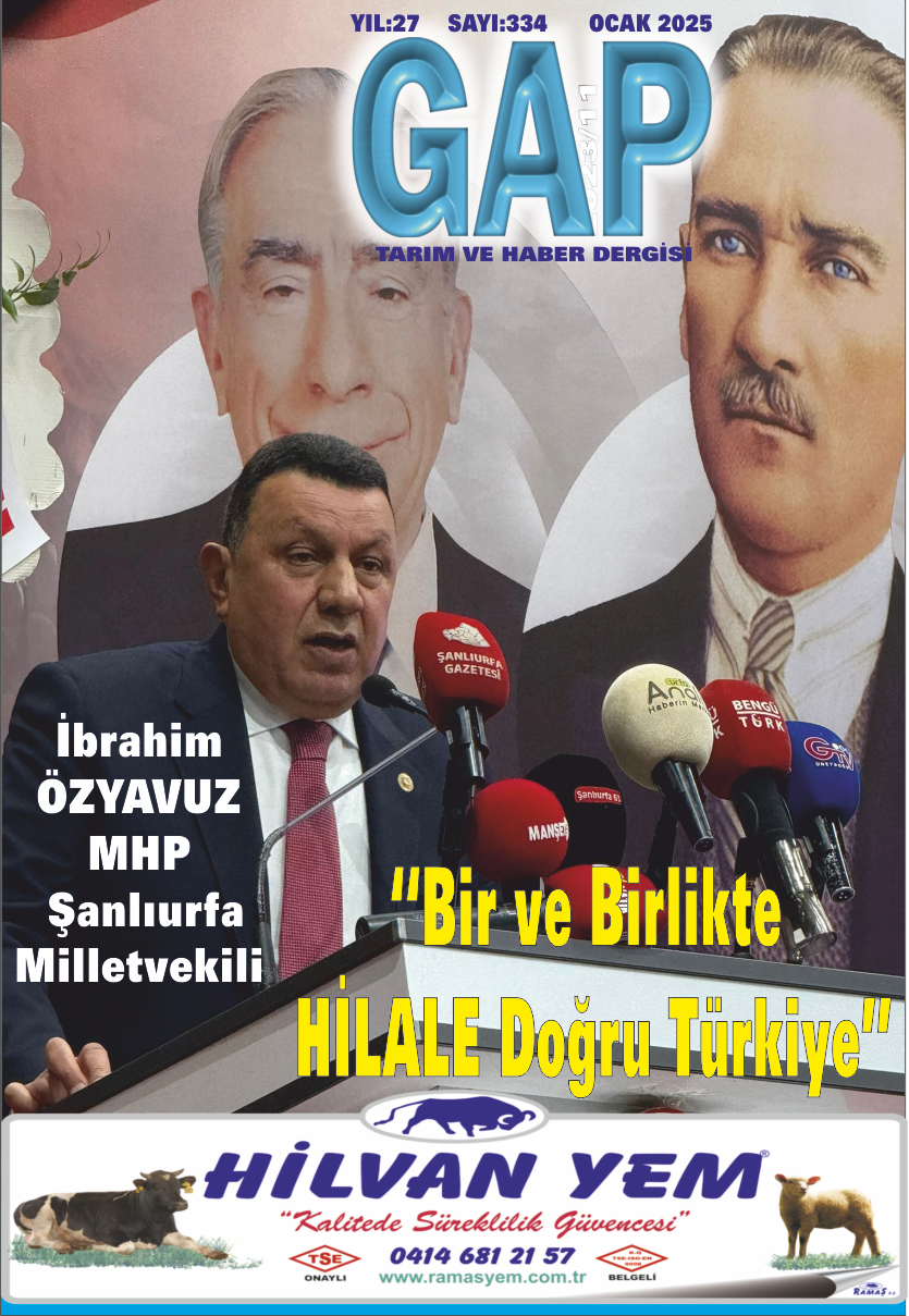 “BİR VE BİRLİKTE HİLALE DOĞRU TÜRKİYE”